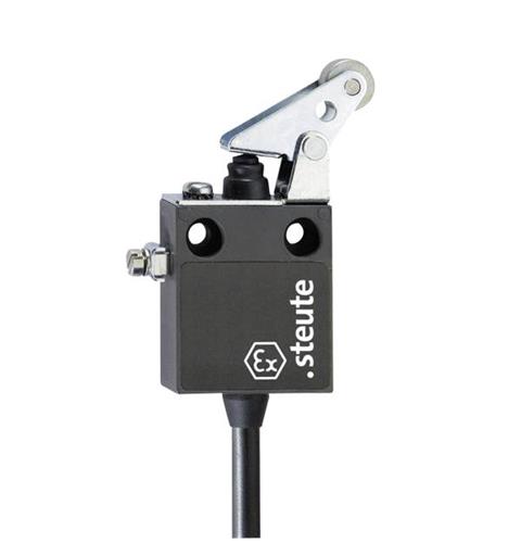 Ex Position switch Ex 12 WPH 1m IP65 (1CO) II 2G Ex d IIC T6